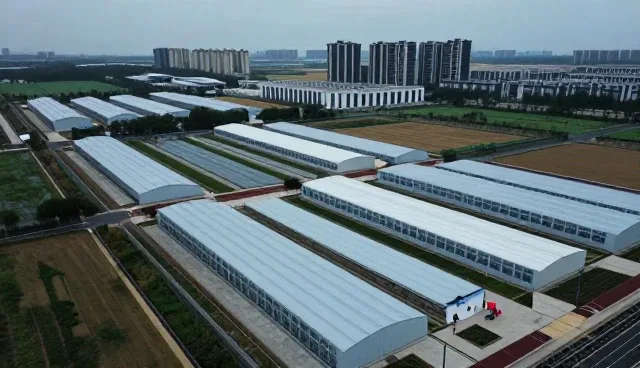 康复指导服务如何适应不同慢病患者的需求